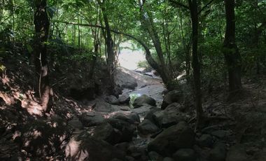 ¡Descubra el Paraíso Escondido en Chazuta, Tarapoto: Un Terreno de 68 Hectáreas con Potencial Ilimitado!