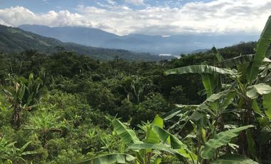 ¡Descubra el Paraíso Escondido en Chazuta, Tarapoto: Un Terreno de 68 Hectáreas con Potencial Ilimitado!