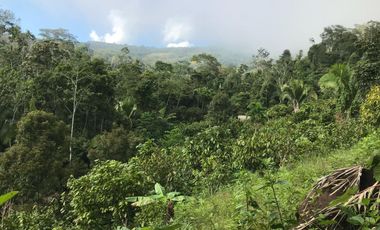 ¡Descubra el Paraíso Escondido en Chazuta, Tarapoto: Un Terreno de 68 Hectáreas con Potencial Ilimitado!