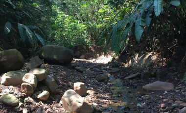 ¡Descubra el Paraíso Escondido en Chazuta, Tarapoto: Un Terreno de 68 Hectáreas con Potencial Ilimitado!