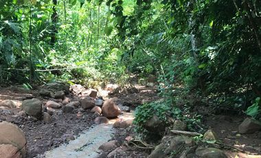 ¡Descubra el Paraíso Escondido en Chazuta, Tarapoto: Un Terreno de 68 Hectáreas con Potencial Ilimitado!
