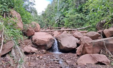 ¡Descubra el Paraíso Escondido en Chazuta, Tarapoto: Un Terreno de 68 Hectáreas con Potencial Ilimitado!