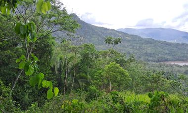 ¡Descubra el Paraíso Escondido en Chazuta, Tarapoto: Un Terreno de 68 Hectáreas con Potencial Ilimitado!