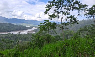 ¡Descubra el Paraíso Escondido en Chazuta, Tarapoto: Un Terreno de 68 Hectáreas con Potencial Ilimitado!