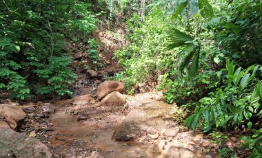 ¡Descubra el Paraíso Escondido en Chazuta, Tarapoto: Un Terreno de 68 Hectáreas con Potencial Ilimitado!