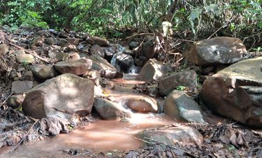 ¡Descubra el Paraíso Escondido en Chazuta, Tarapoto: Un Terreno de 68 Hectáreas con Potencial Ilimitado!