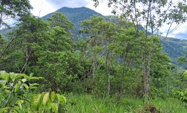 ¡Descubra el Paraíso Escondido en Chazuta, Tarapoto: Un Terreno de 68 Hectáreas con Potencial Ilimitado!