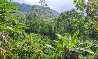 ¡Descubra el Paraíso Escondido en Chazuta, Tarapoto: Un Terreno de 68 Hectáreas con Potencial Ilimitado!