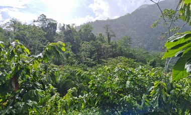 ¡Descubra el Paraíso Escondido en Chazuta, Tarapoto: Un Terreno de 68 Hectáreas con Potencial Ilimitado!