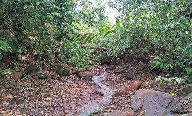 ¡Descubra el Paraíso Escondido en Chazuta, Tarapoto: Un Terreno de 68 Hectáreas con Potencial Ilimitado!