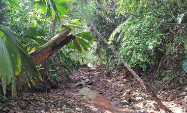 ¡Descubra el Paraíso Escondido en Chazuta, Tarapoto: Un Terreno de 68 Hectáreas con Potencial Ilimitado!