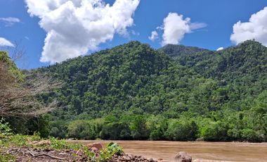 62 Hectáreas con Potencial Ilimitado! Descubra el Paraíso Escondido en Chazuta, cerca Tarapoto.