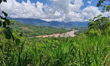 62 Hectáreas con Potencial Ilimitado! Descubra el Paraíso Escondido en Chazuta, cerca Tarapoto.