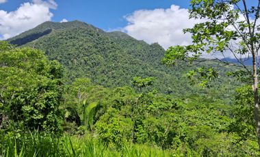 62 Hectáreas con Potencial Ilimitado! Descubra el Paraíso Escondido en Chazuta, cerca Tarapoto.