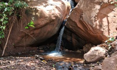 62 Hectáreas con Potencial Ilimitado! Descubra el Paraíso Escondido en Chazuta, cerca Tarapoto.