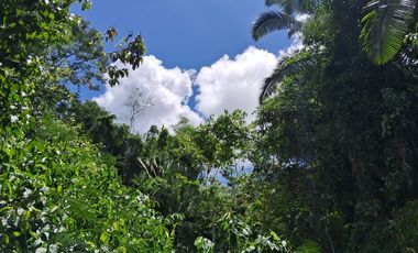 62 Hectáreas con Potencial Ilimitado! Descubra el Paraíso Escondido en Chazuta, cerca Tarapoto.