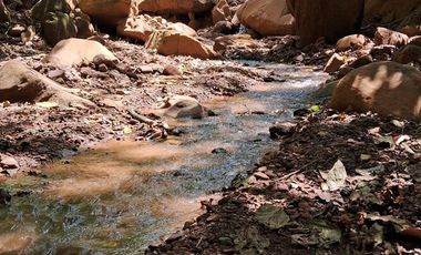 62 Hectáreas con Potencial Ilimitado! Descubra el Paraíso Escondido en Chazuta, cerca Tarapoto.