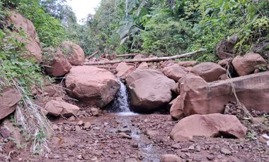 62 Hectáreas con Potencial Ilimitado! Descubra el Paraíso Escondido en Chazuta, cerca Tarapoto.