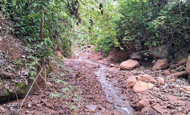 62 Hectáreas con Potencial Ilimitado! Descubra el Paraíso Escondido en Chazuta, cerca Tarapoto.