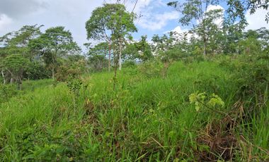 62 Hectáreas con Potencial Ilimitado! Descubra el Paraíso Escondido en Chazuta, cerca Tarapoto.