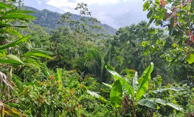 62 Hectáreas con Potencial Ilimitado! Descubra el Paraíso Escondido en Chazuta, cerca Tarapoto.