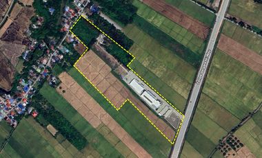 5.8-Hectare Lot Property with Building Facility in Caalibangbangan, Cabanatuan City, Nueva Ecija