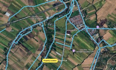 4.3-Hectare Land Property for Sale in Caalibangbangan Cabanatuan City, Nueva Ecija