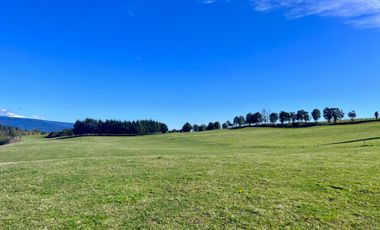 Parcelas en Lago Rupanco con vista a los volcanes