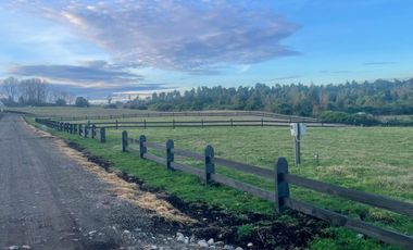 Parcelas en Lago Rupanco con vista a los volcanes