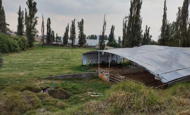 TERRENO EN VENTA CACALOMACAN