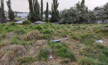 TERRENO EN VENTA CACALOMACAN