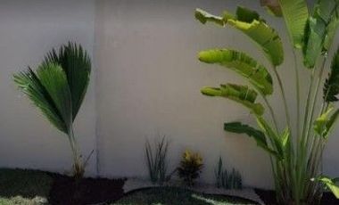 HERMOSA CASA EN VENTA EXCELENTE OPORTUNIDAD