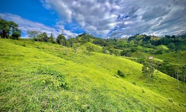 LOTE EN VENTA EN LA MACANA SABANETA ANTIOQUIA