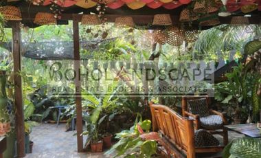 Tropical Villa for Sale in Libaong, Panglao Island, Bohol