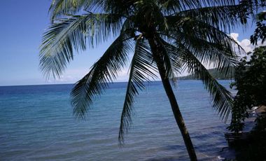 Beach Resort for sale in Catmon, Cebu: Income-Generating- Fully Functional