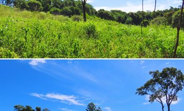Chacra 2 Hectareas en Colonia Santa Rosa,San Vicente,Misiones