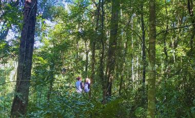 Chacra 2 Hectareas en Colonia Santa Rosa,San Vicente,Misiones