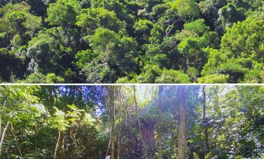 Chacra 2 Hectareas en Colonia Santa Rosa,San Vicente,Misiones