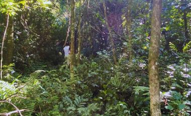 Chacra 2 Hectareas en Colonia Santa Rosa,San Vicente,Misiones