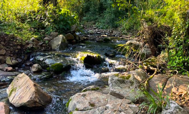 Chacra Agricola, 94 Hectareas, San Vicente, mISIONES