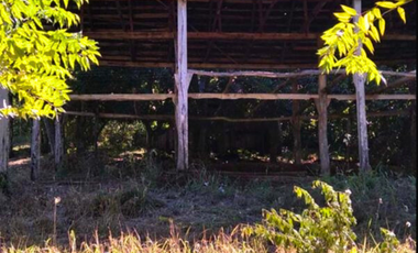 Chacra Agricola, 94 Hectareas, San Vicente, mISIONES