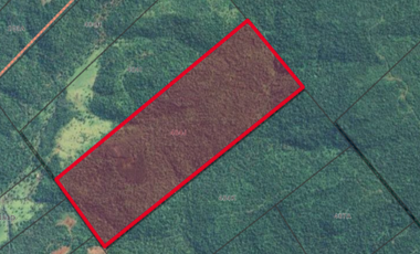 Chacra Agricola, 94 Hectareas, San Vicente, mISIONES