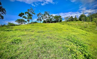 LOTE EN VENTA EN LA MACANA SABANETA ANTIOQUIA