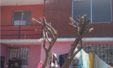 COMPRALE DIRECTO AL BANCOLA CASA DE ENTREGA INMEDIATA EN IGUALA 2000