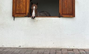Exclusiva Finca en Venta con Elegante Diseño Mexicano y Caballerizas. Amueblada