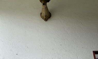 Exclusiva Finca en Venta con Elegante Diseño Mexicano y Caballerizas. Amueblada