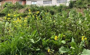 amplio terreno en venta cerca de sayausi