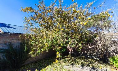 Oportunidad, dos casas en La Falda