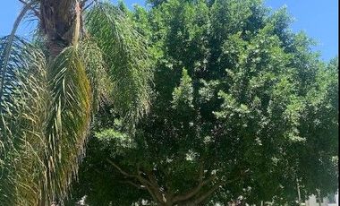 Sk16 - Casa En Remate Bancario En Av. Concepción, Santa Rosa, Villas De San Martin, Tlajomulco, Jalisco (no Créditos Infonavit E Hipotecarios)