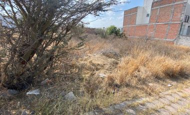 Venta Terreno Semi Plano Bosques de Las Lomas, Queretaro